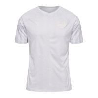 Hummel Denmark Men's Stadium Jersey 2022/23