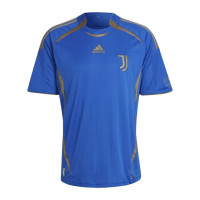 Juventus Teamgeist Jersey 2021/22